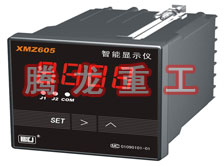 溫度表、數(shù)字顯示儀、濕度表