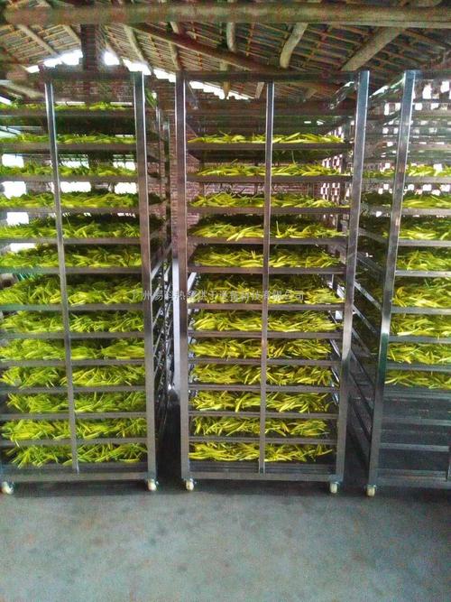 黃花菜烘干機(jī)、黃花菜烘干設(shè)備、黃花菜干燥機(jī)、黃花菜干燥設(shè)備、
